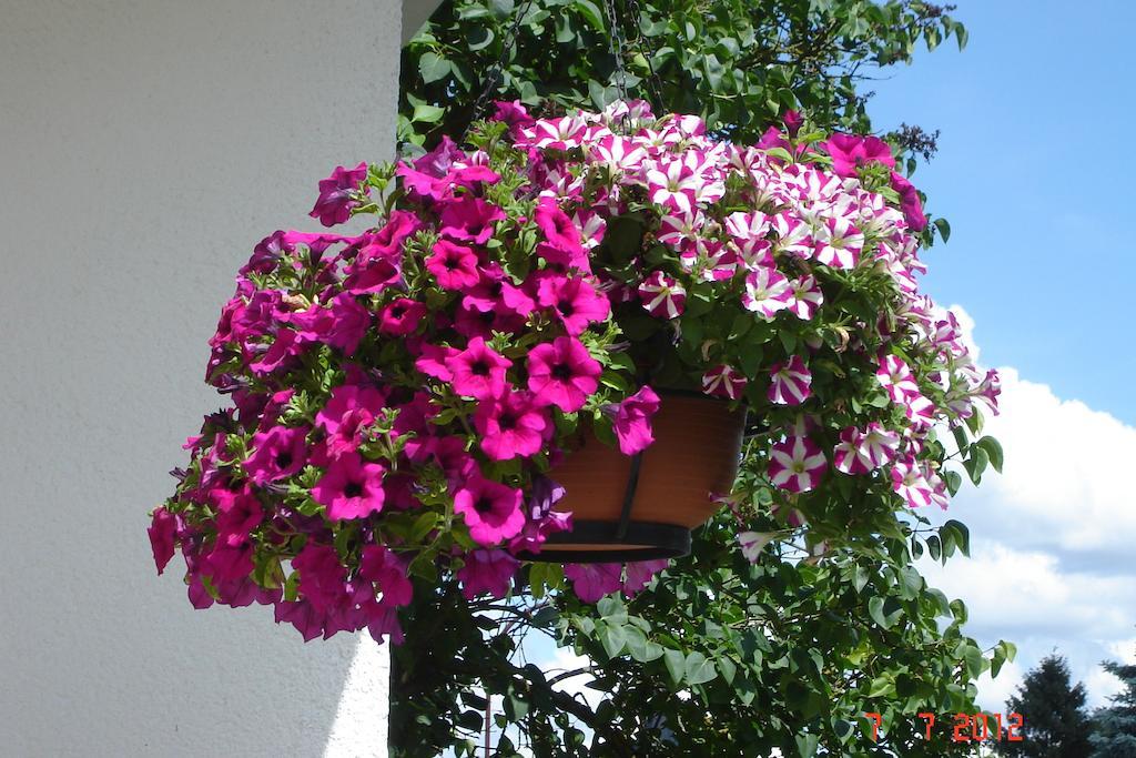 Urlaub Auf Dem Bauernhof Marx Kelberg Quarto foto