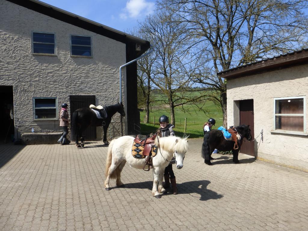 Urlaub Auf Dem Bauernhof Marx Kelberg Exterior foto