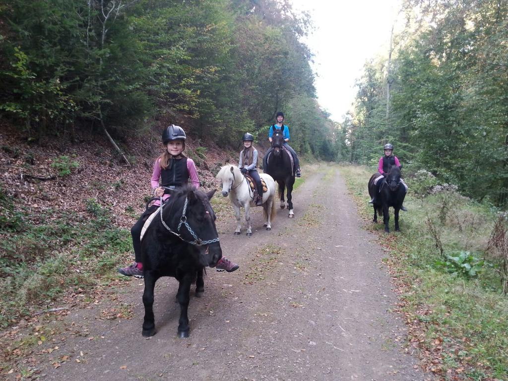Urlaub Auf Dem Bauernhof Marx Kelberg Exterior foto